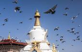 Туры в отель Le Meridien Thimphu