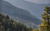 Туры в отель Le Meridien Thimphu