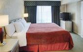 Туры в отель Embassy Suites by Hilton Montreal Airport