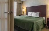Туры в отель Embassy Suites by Hilton Montreal Airport