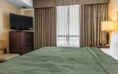Туры в отель Embassy Suites by Hilton Montreal Airport