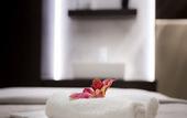 Туры в отель The Ritz-Carlton, Montreal