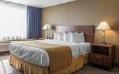 Туры в отель Ramada Plaza by Wyndham Montreal
