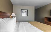 Туры в отель Ramada Plaza by Wyndham Montreal