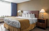 Туры в отель Ramada Plaza by Wyndham Montreal