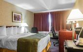 Туры в отель Ramada Plaza by Wyndham Montreal