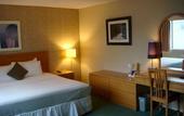 Туры в отель Cassandra Hotel