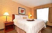 Туры в отель Hampton Inn & Suites by Hilton Langley-Surrey