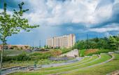 Туры в отель Hampton Inn & Suites by Hilton Halifax - Dartmouth
