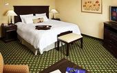Туры в отель Hampton Inn by Hilton London