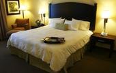 Туры в отель Hampton Inn & Suites by Hilton Moncton