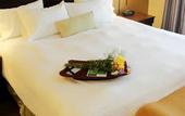Туры в отель Hampton Inn & Suites by Hilton Moncton