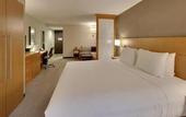 Туры в отель DoubleTree by Hilton Edmonton Downtown