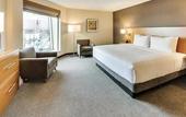Туры в отель DoubleTree by Hilton Edmonton Downtown