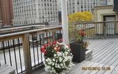 Туры в отель St Lawrence Residences And Suites
