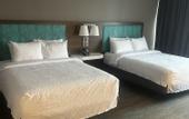 Туры в отель Hampton Inn by Hilton Kingston