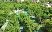 Туры в отель Castle Park Hotel
