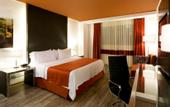 Туры в отель Holiday Inn Buenavista