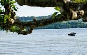 Туры в отель Hotel Hirschen am See