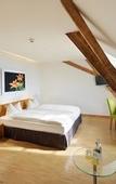 Туры в отель TOP HOTEL ODELYA Basel