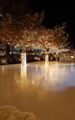 Туры в отель Seehotel Sonne