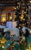 Туры в отель Seehotel Sonne