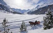 Туры в отель Randolins Familienresort