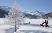 Туры в отель Randolins Familienresort