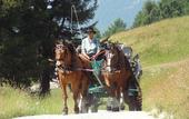 Туры в отель Randolins Familienresort