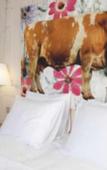 Туры в отель Boutique-Hotel Chez Jan
