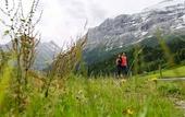 Туры в отель Aspen alpin lifestyle hotel Grindelwald