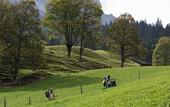 Туры в отель Aspen alpin lifestyle hotel Grindelwald