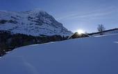 Туры в отель Aspen alpin lifestyle hotel Grindelwald