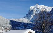 Туры в отель Aspen alpin lifestyle hotel Grindelwald
