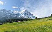 Туры в отель Aspen alpin lifestyle hotel Grindelwald