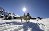 Туры в отель Aspen alpin lifestyle hotel Grindelwald