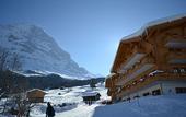 Туры в отель Aspen alpin lifestyle hotel Grindelwald