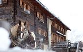 Туры в отель Maiensasshotel Guarda Val