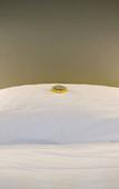 Туры в отель Hotel Bleichibeiz