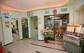 Туры в отель Hotel Vezia