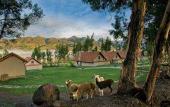 Туры в отель Las Casitas del Colca