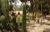 Туры в отель Las Casitas del Colca