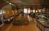 Туры в отель Las Chapas Palacio Del Sol