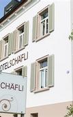 Туры в отель Hotel Schafli