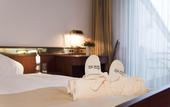 Туры в отель Bad Horn - Hotel & Spa