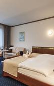 Туры в отель Bad Horn - Hotel & Spa