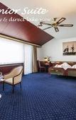 Туры в отель Bad Horn - Hotel & Spa