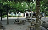 Туры в отель Youth Hostel Richterswil