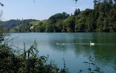 Туры в отель Youth Hostel Luzern
