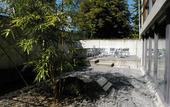 Туры в отель Youth Hostel Luzern